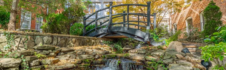 Bridge at The Martha