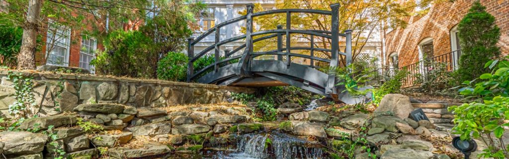 Bridge at The Martha