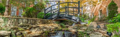Bridge at The Martha